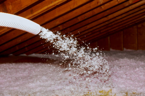 Best DIY Insulation Kits and Guidance in East Grand Rapids, MI