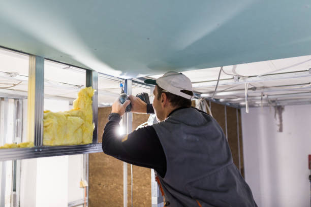 Best Cellulose Insulation in East Grand Rapids, MI