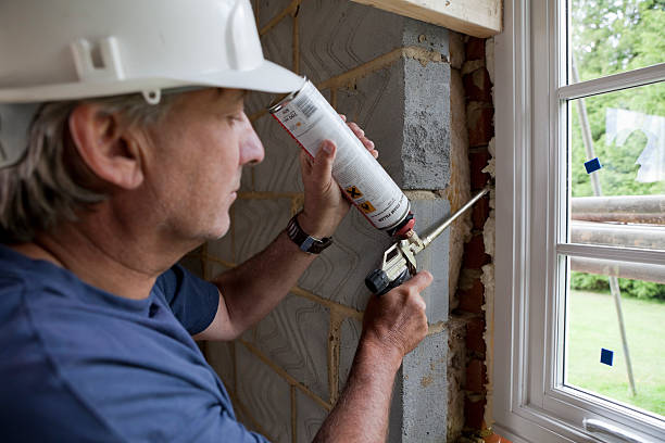 Best Eco-Friendly Insulation in East Grand Rapids, MI