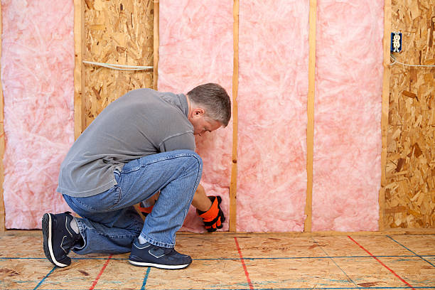 Best Residential Insulation in East Grand Rapids, MI